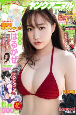 顶楼第三季